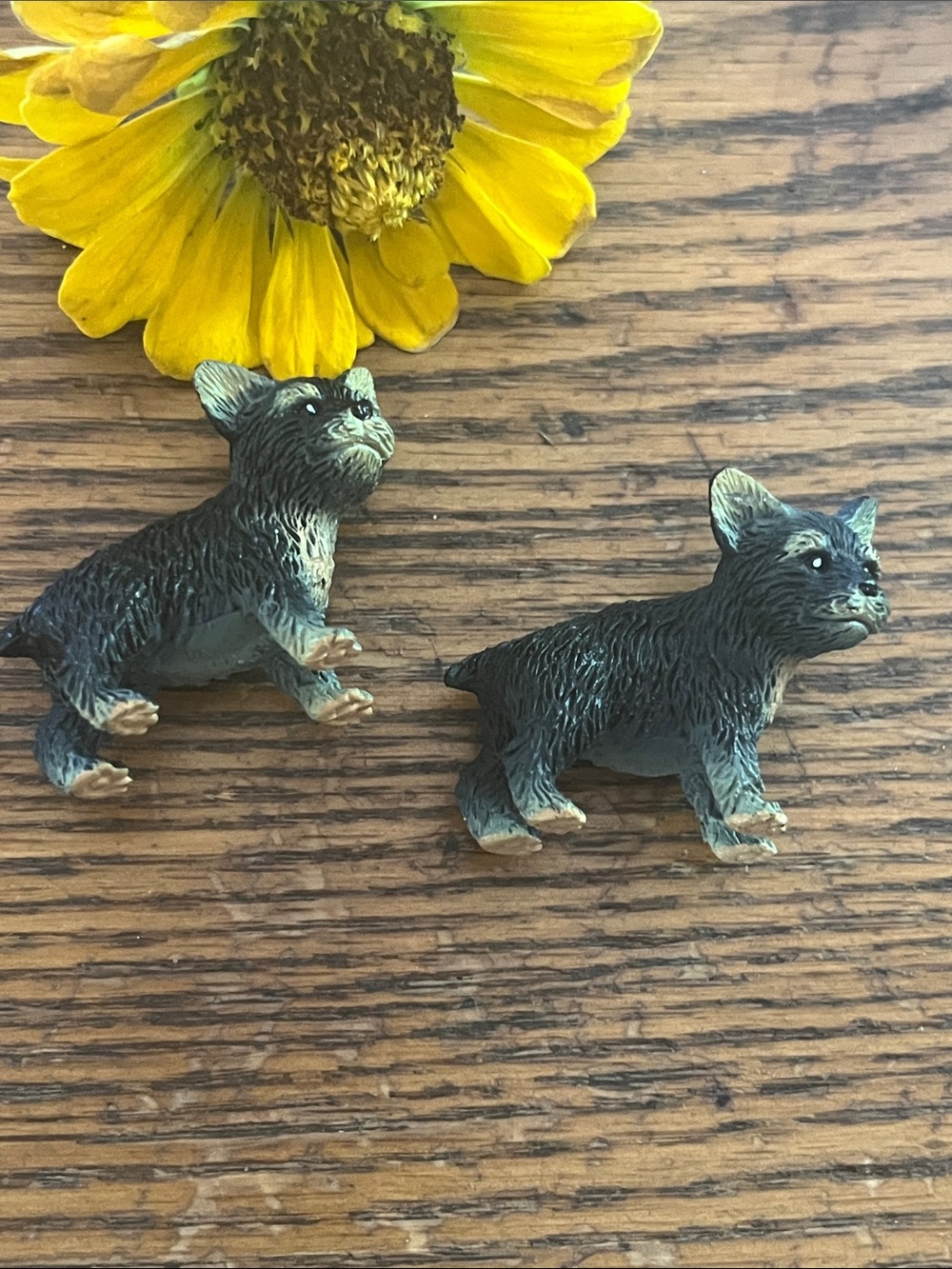 Wing Mau mini Yorkshire terrier puppies Small Decorative Dog Figurine Pair